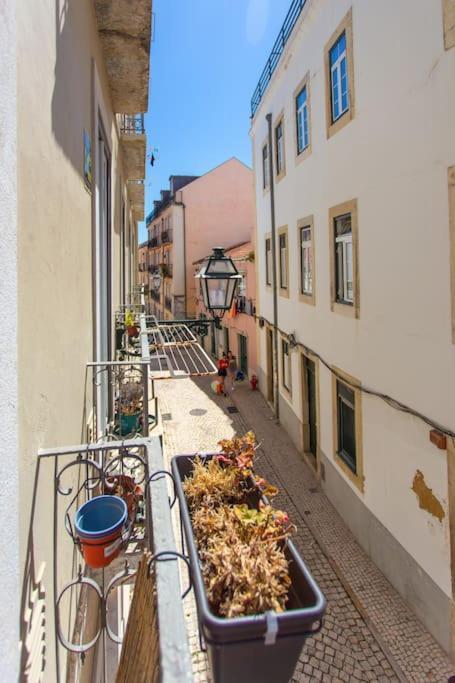 Apartamento Sunny Bica - Downtown Large